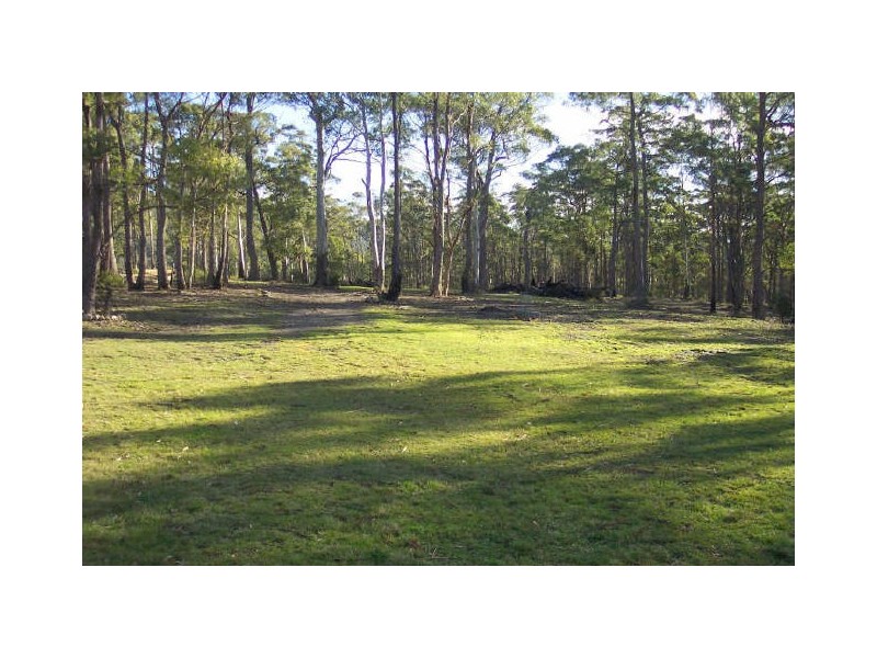 614 Elephant Pass Road, St Marys TAS 7215