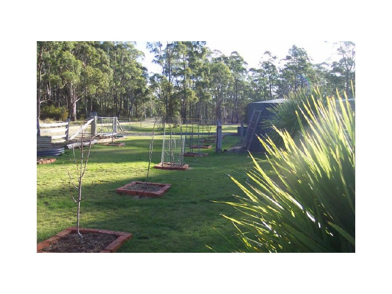 614 Elephant Pass Road, St Marys TAS 7215