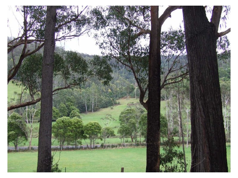 30 Nicklasons Road, Pyengana TAS 7216