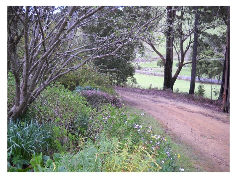 30 Nicklasons Road, Pyengana TAS 7216