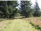 24627 Tasman Highway, St Helens TAS 7216