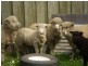 197 Elephant Pass Road, St Marys TAS 7215