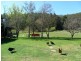 197 Elephant Pass Road, St Marys TAS 7215