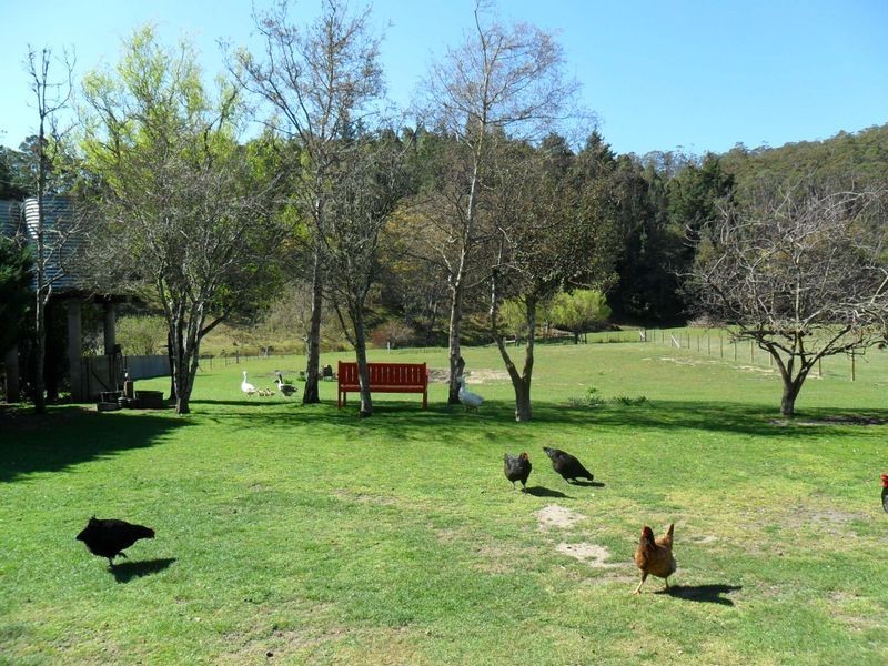 197 Elephant Pass Road, St Marys TAS 7215