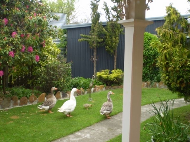 197 Elephant Pass Road, St Marys TAS 7215
