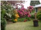 197 Elephant Pass Road, St Marys TAS 7215