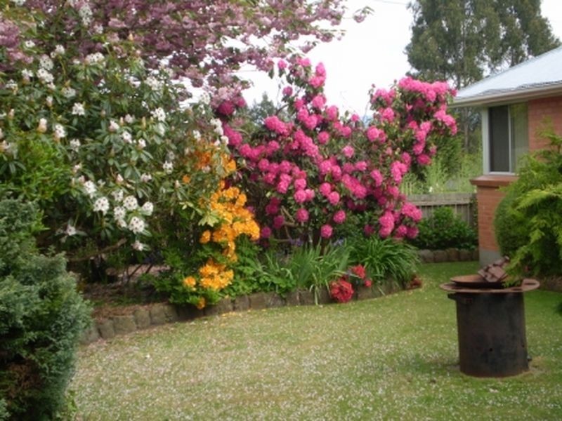197 Elephant Pass Road, St Marys TAS 7215
