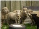 197 Elephant Pass Road, St Marys TAS 7215