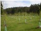 197 Elephant Pass Road, St Marys TAS 7215
