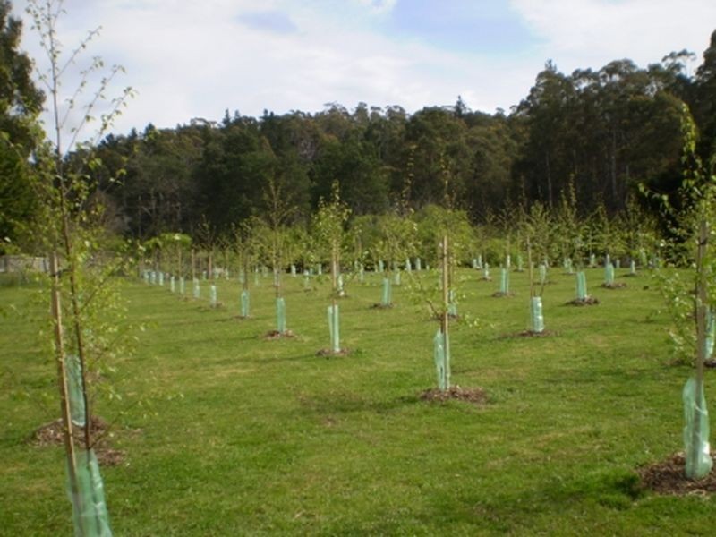 197 Elephant Pass Road, St Marys TAS 7215