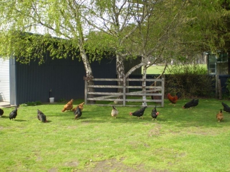 197 Elephant Pass Road, St Marys TAS 7215