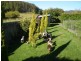 197 Elephant Pass Road, St Marys TAS 7215