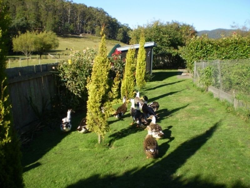 197 Elephant Pass Road, St Marys TAS 7215