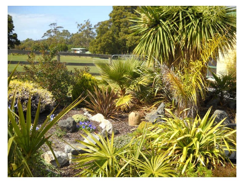 31 Penelope Street, St Helens TAS 7216