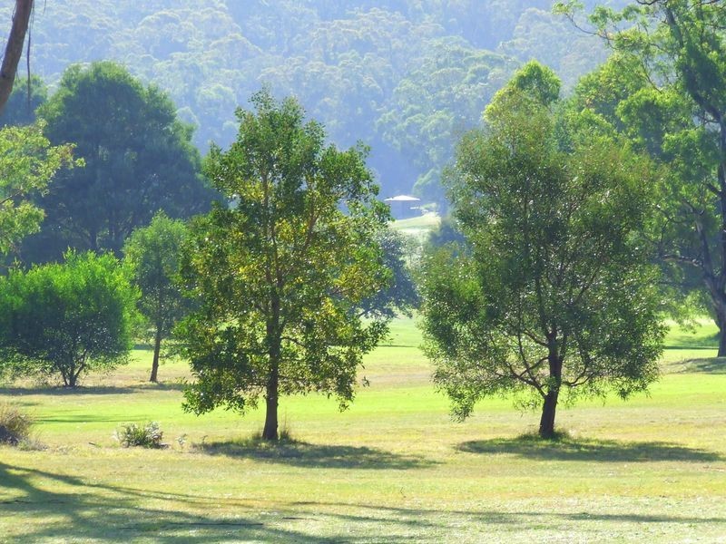 57 Hills Road, St Helens TAS 7216