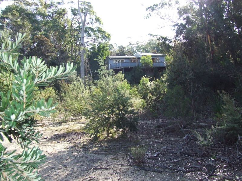 95 Argonaut Road, St Helens TAS 7216