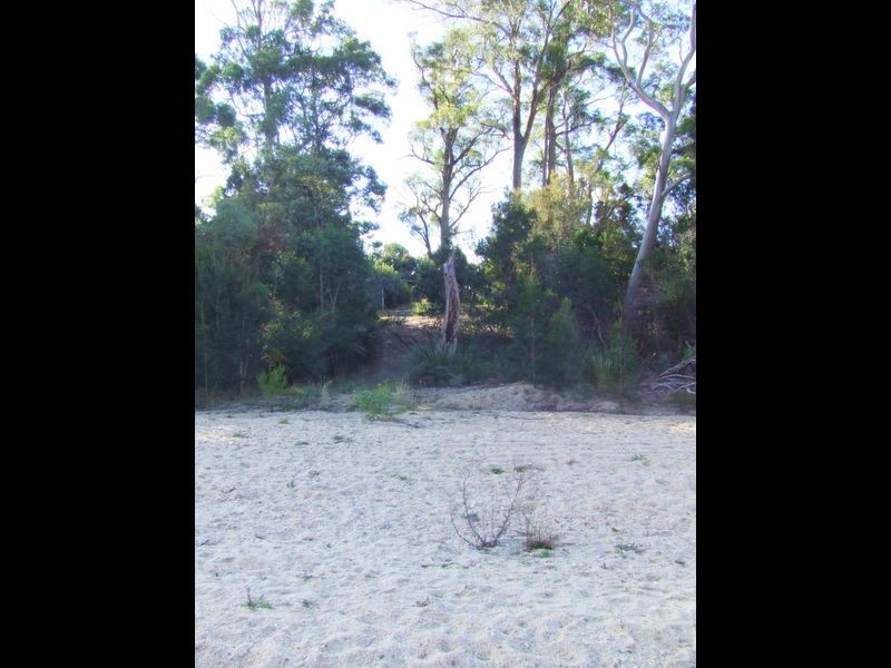 95 Argonaut Road, St Helens TAS 7216