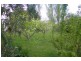 12-14 Main Road, St Marys TAS 7215