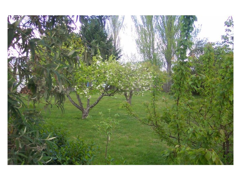 12-14 Main Road, St Marys TAS 7215
