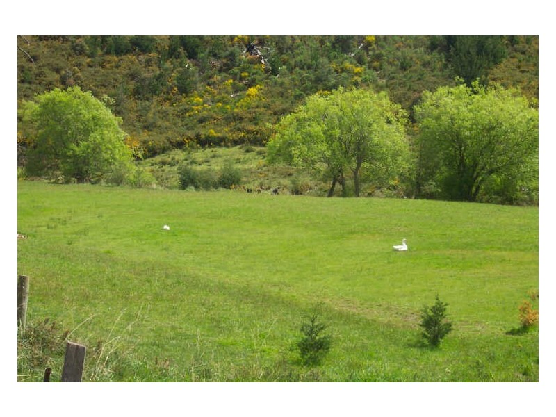 47 Main Road, St Marys TAS 7215