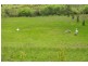 47 Main Road, St Marys TAS 7215