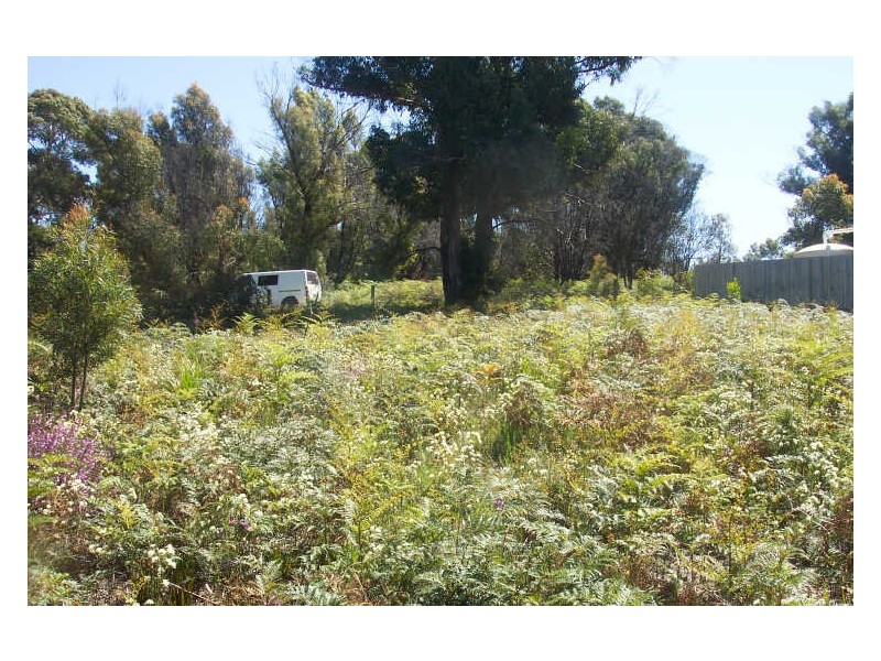 Tasman Highway, Scamander TAS 7215