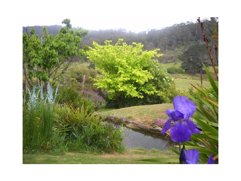 59 Johnstons Road, Goulds Country TAS 7216