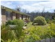 57 Upper Scamander Road, Scamander TAS 7215