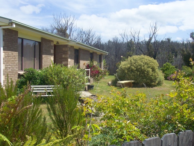 57 Upper Scamander Road, Scamander TAS 7215