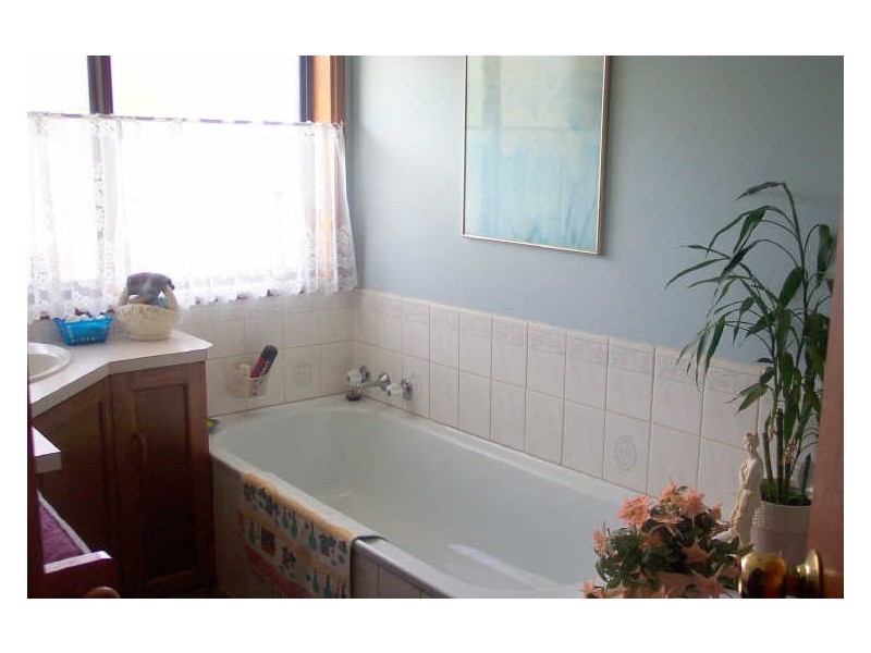 57 Upper Scamander Road, Scamander TAS 7215