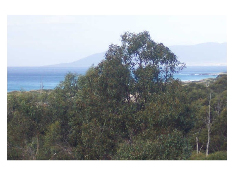 19 Reedy Road, Beaumaris TAS 7215