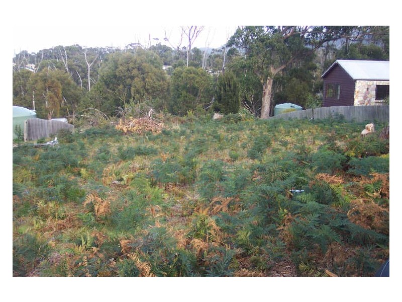 19 Reedy Road, Beaumaris TAS 7215