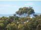 19 Reedy Road, Beaumaris TAS 7215