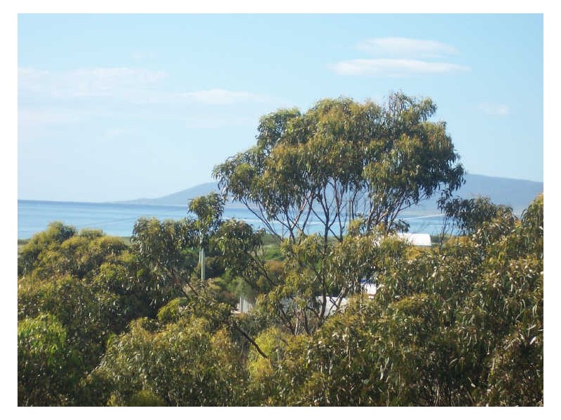 19 Reedy Road, Beaumaris TAS 7215