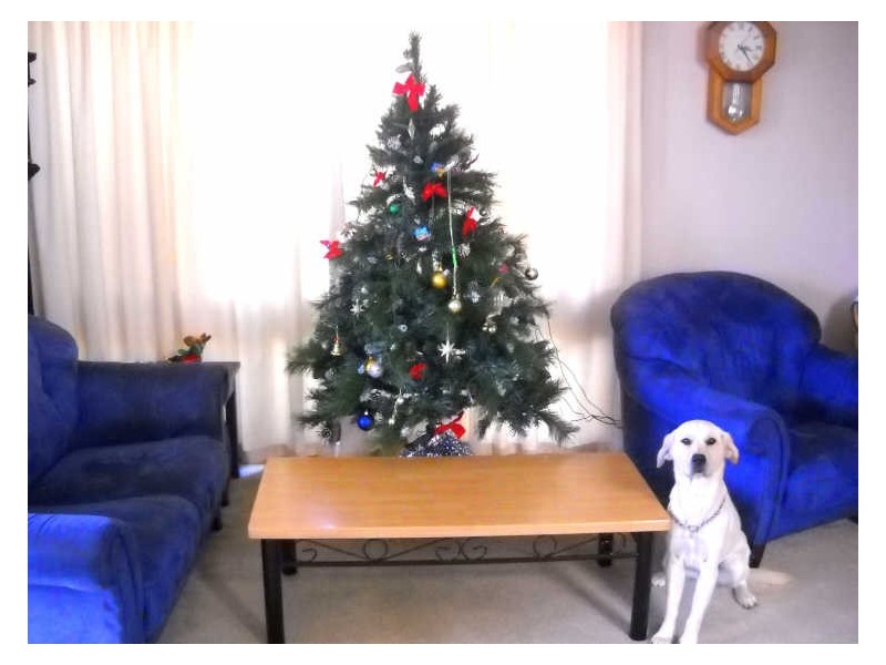 12 Chimney Heights, St Helens TAS 7216