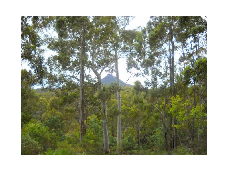 Esk Highway, St Marys TAS 7215