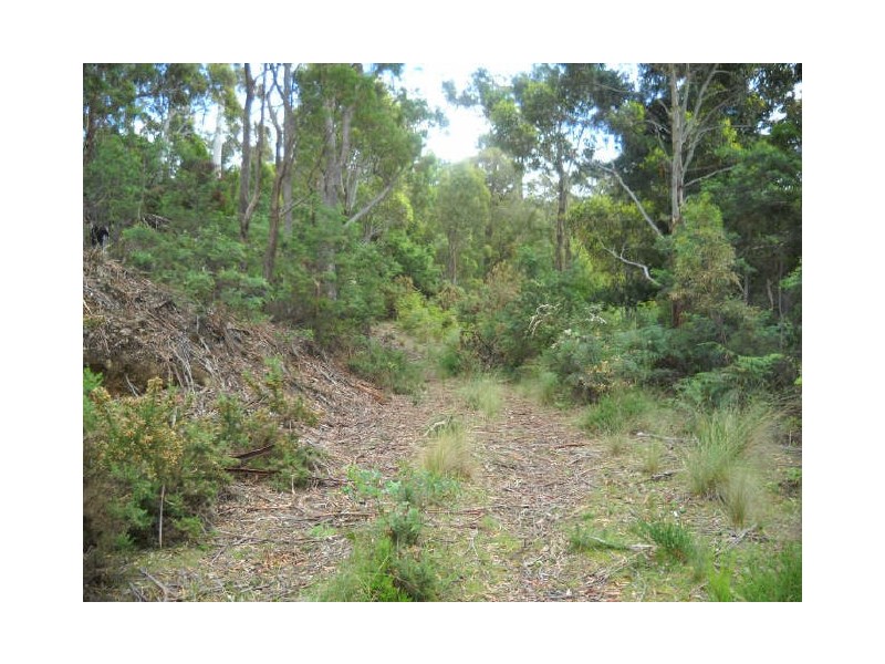 Esk Highway, St Marys TAS 7215