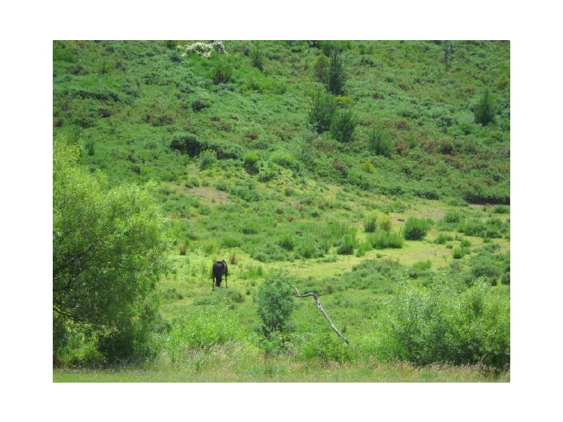 Esk Highway, St Marys TAS 7215