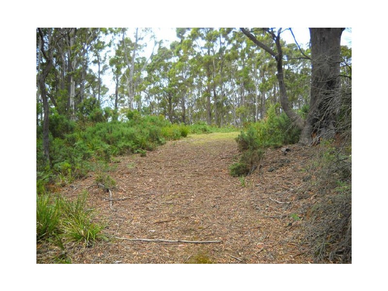 Esk Highway, St Marys TAS 7215