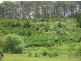 Richardson Road, St Marys TAS 7215