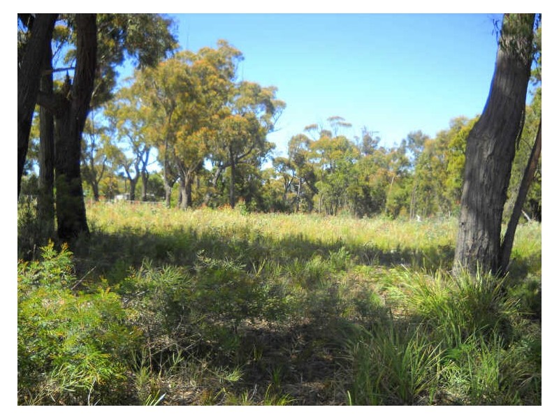 27 Skyline Drive, Beaumaris TAS 7215