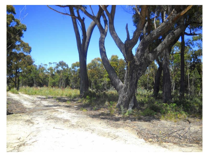 27 Skyline Drive, Beaumaris TAS 7215