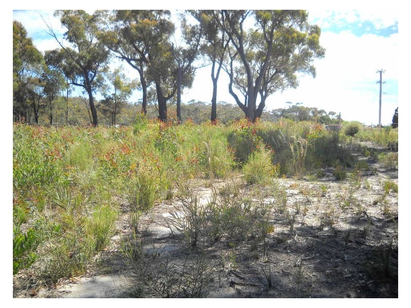 27 Skyline Drive, Beaumaris TAS 7215