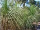 46 Osprey Drive, Stieglitz TAS 7216