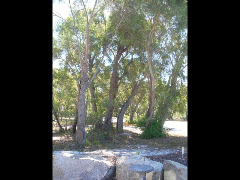 46 Osprey Drive, Stieglitz TAS 7216