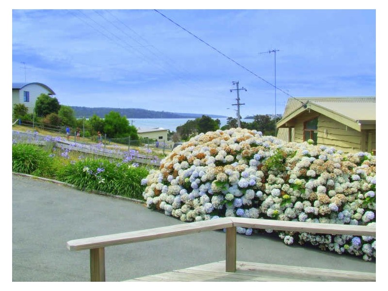 222 St Helens Point Road, Stieglitz TAS 7216
