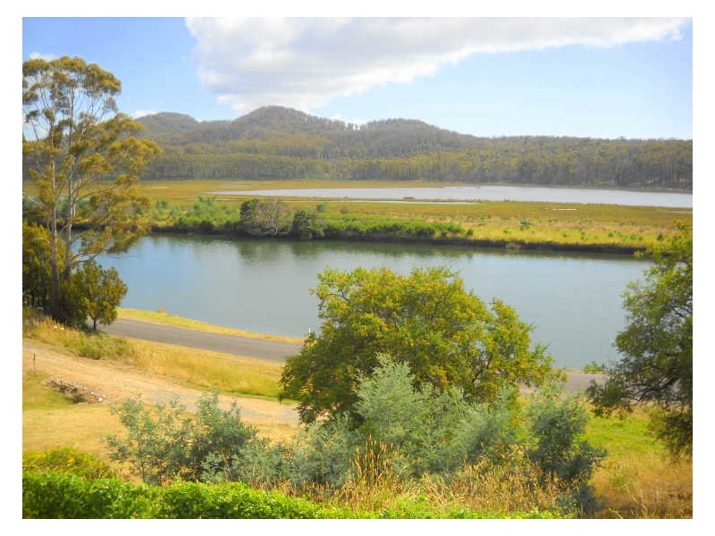 224 Upper Scamander Road, Scamander TAS 7215