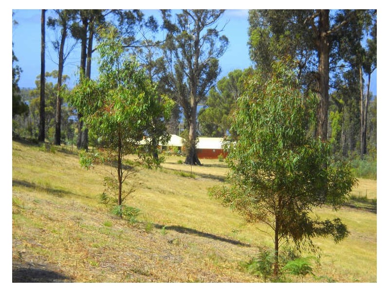 23131 Tasman Highway, Scamander TAS 7215