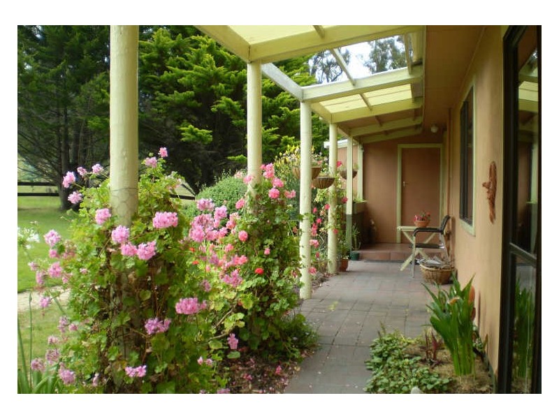 23131 Tasman Highway, Scamander TAS 7215