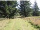 24627 Tasman Highway, St Helens TAS 7216